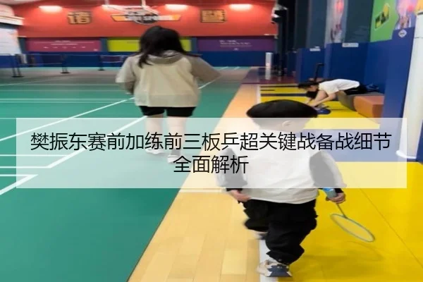 樊振东赛前加练前三板乒超关键战备战细节全面解析