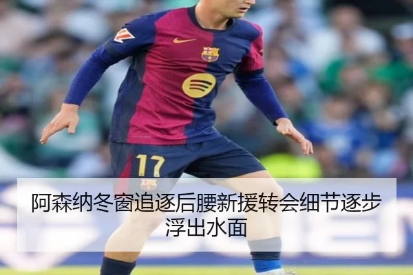 阿森纳冬窗追逐后腰新援转会细节逐步浮出水面